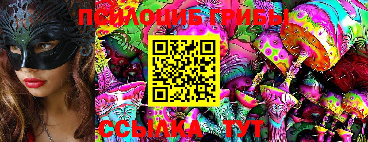 Псилоцибиновые грибы MAGIC MUSHROOMS  Вход с VPN  Псилоцибиновые грибы Magic Shrooms  Тейково 