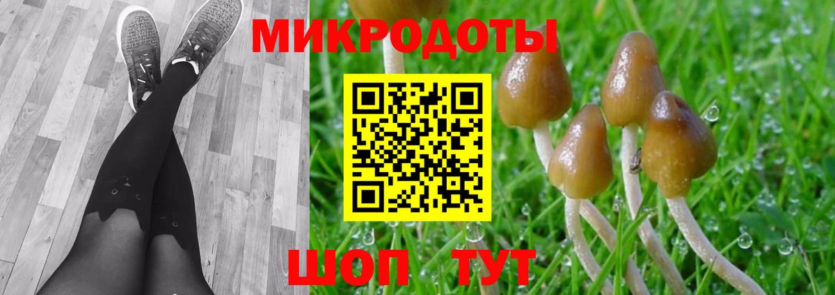 Галлюциногенные грибы GOLDEN TEACHER Тейково